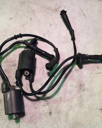 BOBINA ACCENSIONE HONDA SHADOW 600