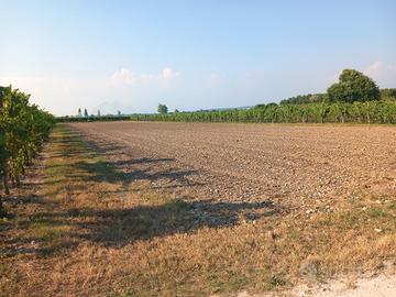 San Canzian d'Is.- Terreno agricolo