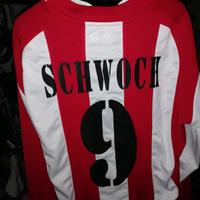 maglia vicenza calcio