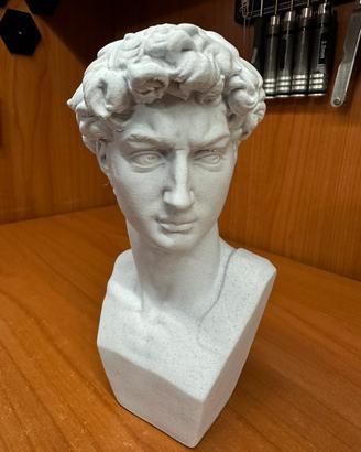 Busto del David di Michelangelo, stampato in 3D