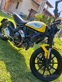  ducati scrambler 803