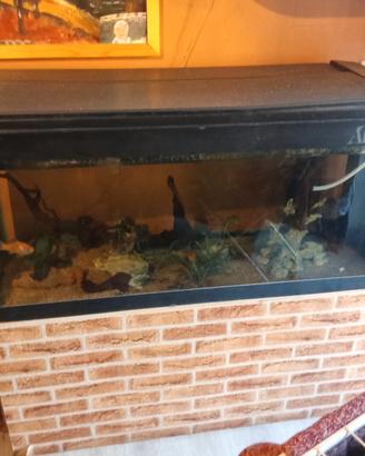 aquario 400 litri