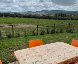 Casa vacanza nel parco della Maremma