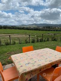 Bilocale nel parco della Maremma