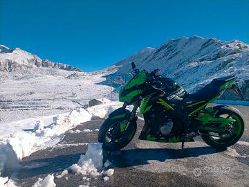 z 900