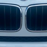 Griglie maschera BMW X3 F25