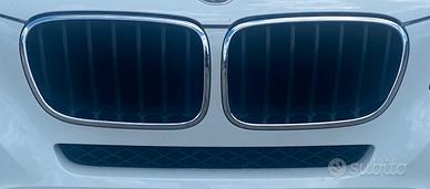 Griglie maschera BMW X3 F25