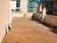 Immagine 26