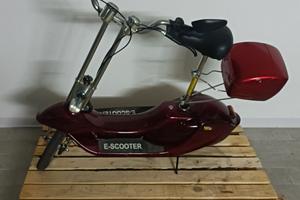 Ecooter Altro modello