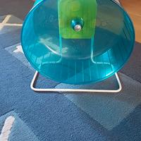 Ruota per roditori