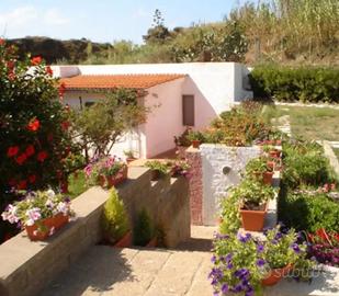 Villetta mare ventotene
