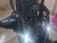 Immagine 2