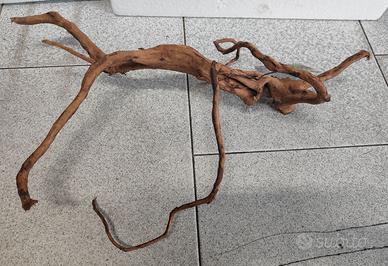 Legno Decorativo per Acquario o Terrario cm 50x20