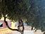 Immagine 18