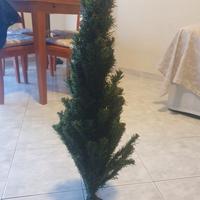 Albero di natale 