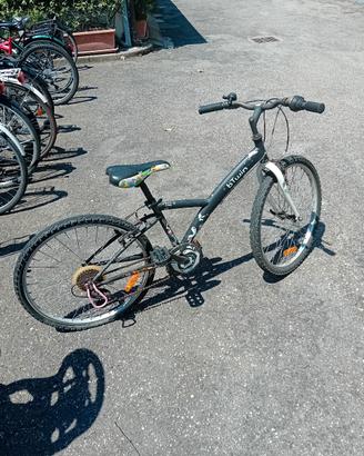 bicicletta mountain bike ruota 24 bambina/o