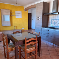 Nettuno appartamento piano attico