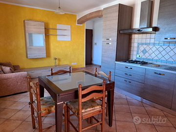 Nettuno appartamento piano attico