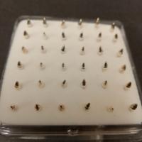 Confezione 36 Orecchini x Naso In Argento 800/925