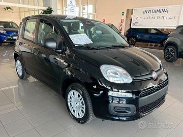 Fiat Panda 1.0 FireFly 70cv S&S Hybrid Icon