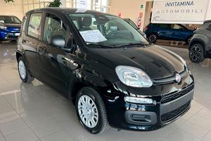Fiat Panda 1.0 FireFly 70cv S&S Hybrid Icon
