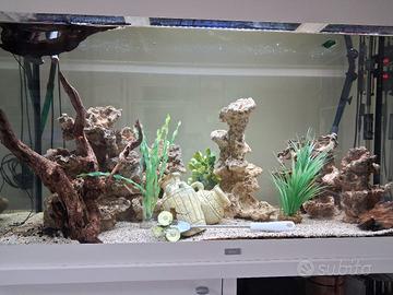 acquario juwel 360