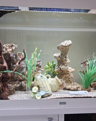 acquario juwel 360