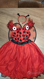 costume  di carnevale  Coccinella