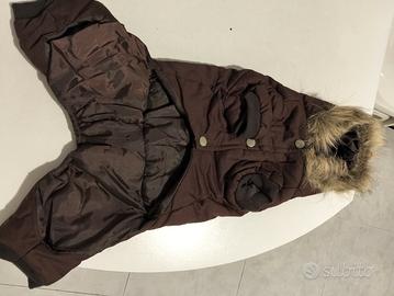 cappottino per cani piccola taglia