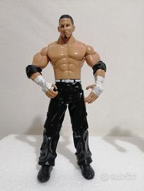 WWE action figure Matt Hardy Jakks wrestling