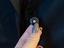 Immagine 4