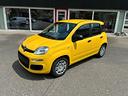 fiat-panda-pandina-1-0-firefly-65-cv-hybrid-pop