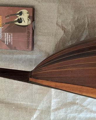 mandolino antico 
