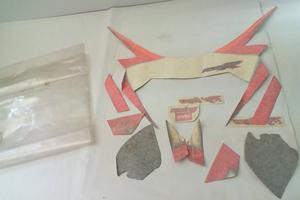 DECALCO SERIE FRONTALE RSV 1000 APRILIA AP8167937