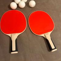 2 padel di pingong e 5 palline 