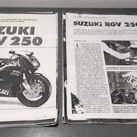Suzuki rgv gamma 250