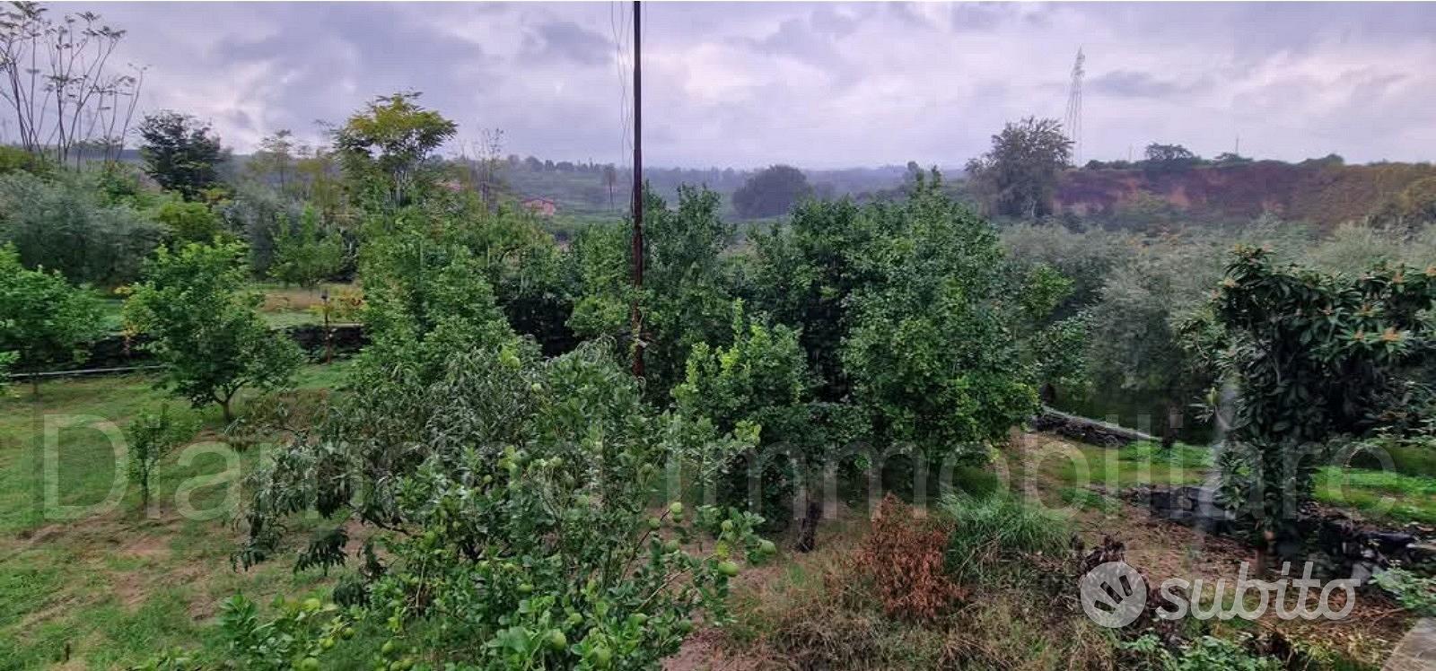 Terreno agricolo 1.200mq a Giarre - Vista 3