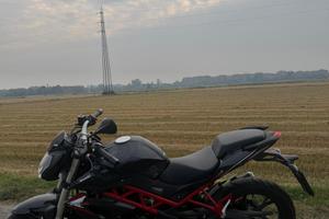 Benelli bn 125