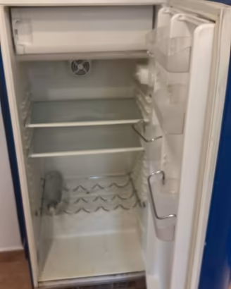 Frigo smeg