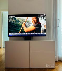 Mobile TV con braccio oriantabile incorporato