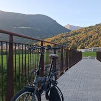 Bici pieghevole Simple B4C (20")