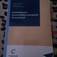 Inadempimento, responsabilita, mora debendi