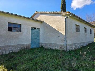 Cetona (S): magazzino da ristrutturare