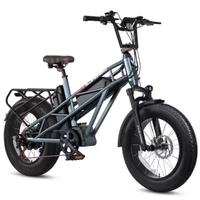 E-bike Gemini  X 2024