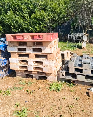 bancale plastica per taniche