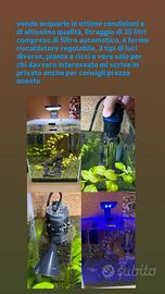 acquario