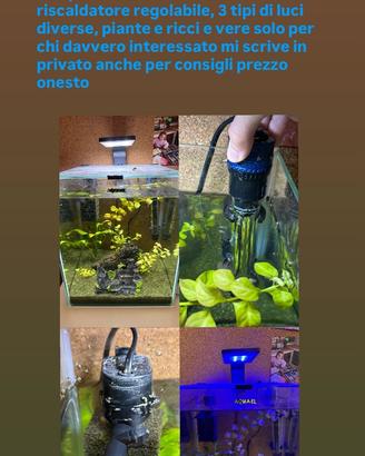 acquario