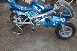 Mini moto