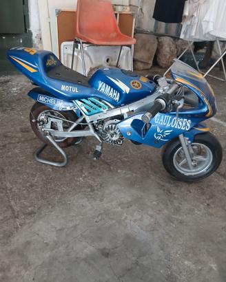 Mini moto