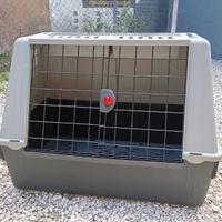 TRASPORTONE/KENNEL